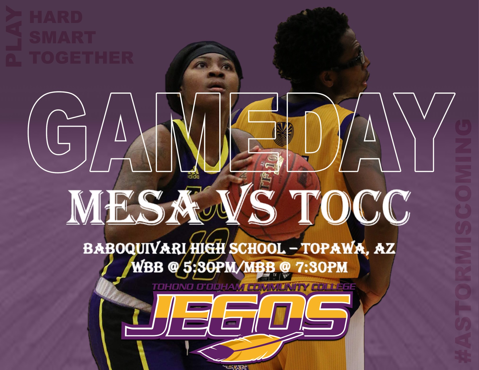 Game Day vs Mesa